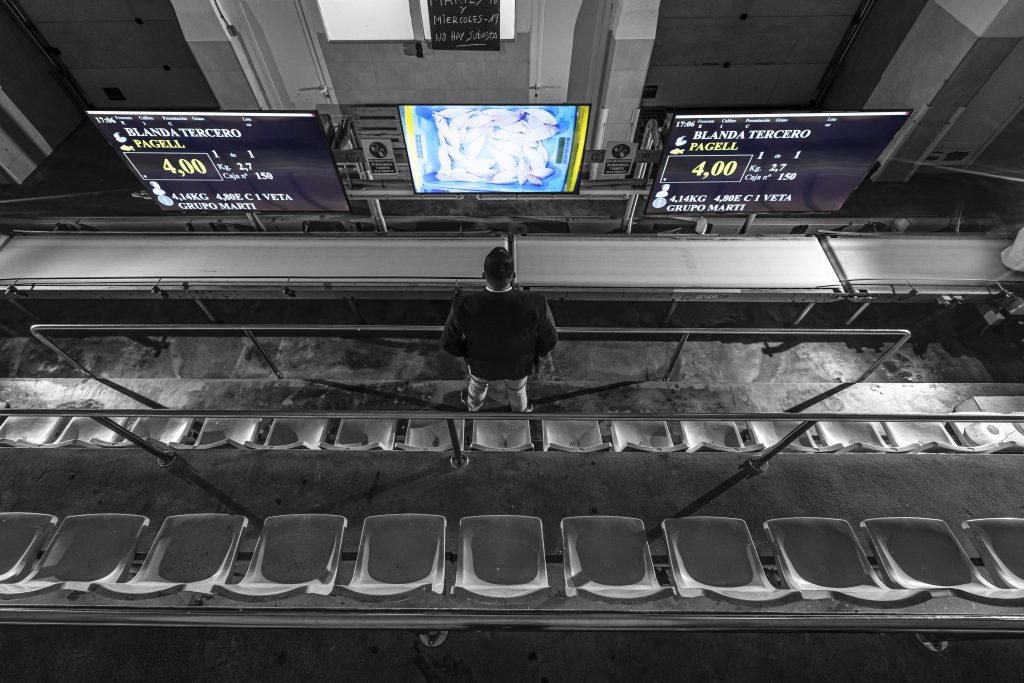 Comprar pescado online