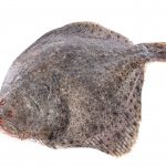 Comprar rodaballo online