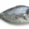 Comprar dorada online