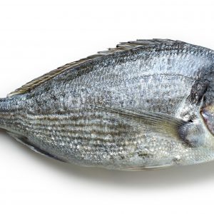 Comprar dorada online