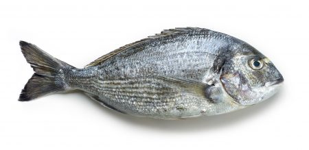 Comprar dorada online