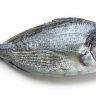 Pescado blanco