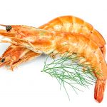 Comprar gamba blanca online