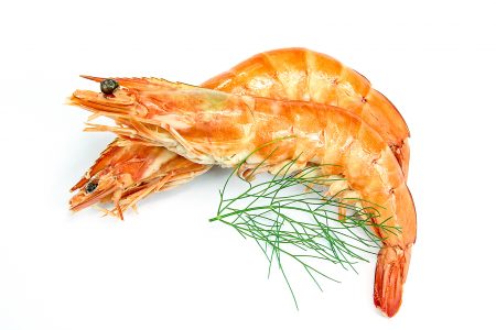 Comprar gamba blanca online