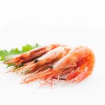 Comprar gamba roja online