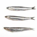 Comprar boquerón online