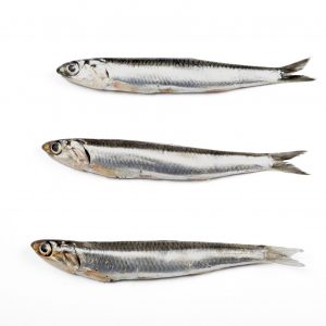 Comprar boquerón online