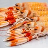 Conjunto de cigalas en imagen