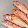 almonetes frescos del Mediterráneo recién pescados, pescadería online aMar