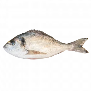 Dorada de cultivo nacional