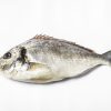 Comprar Dorada Online