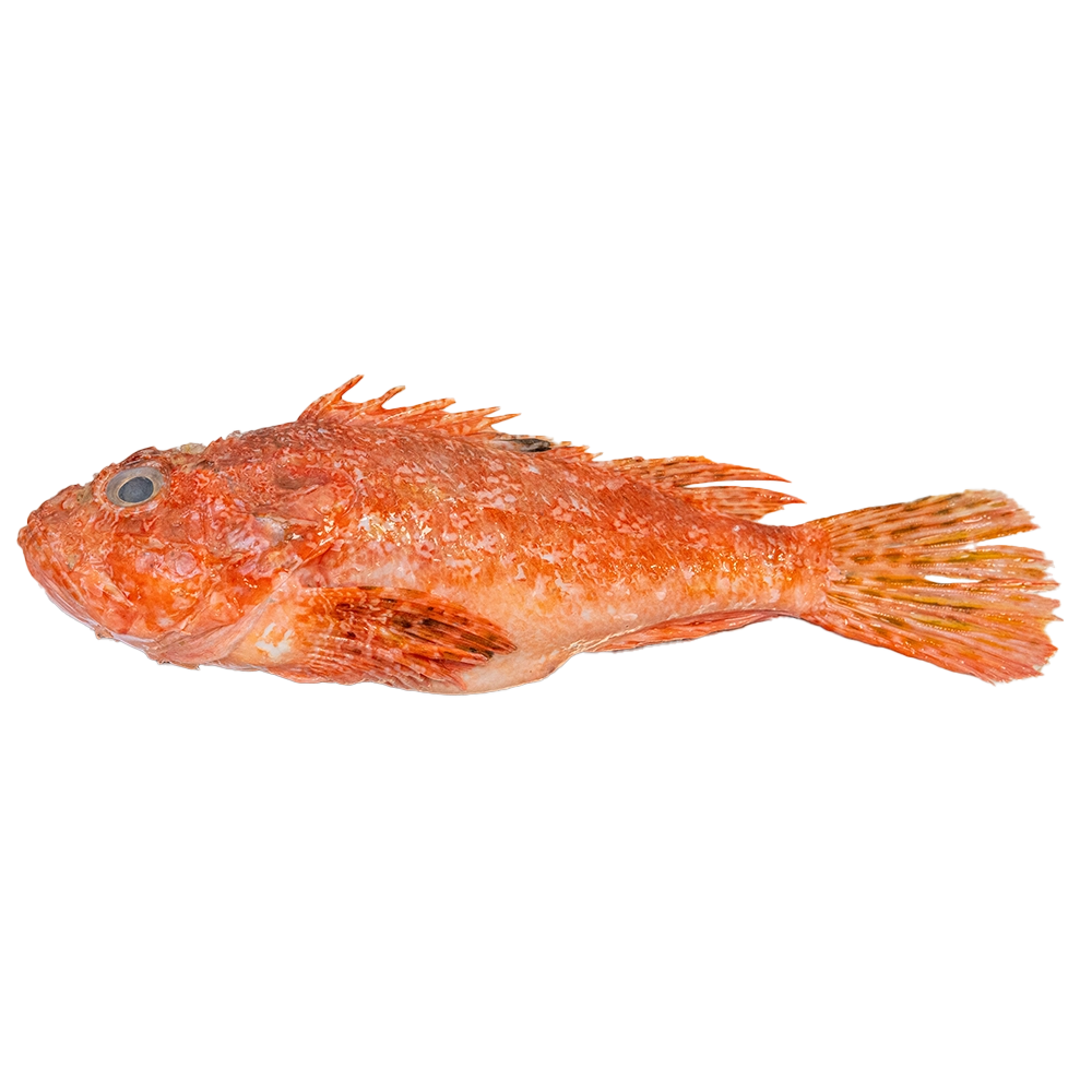 Gallineta