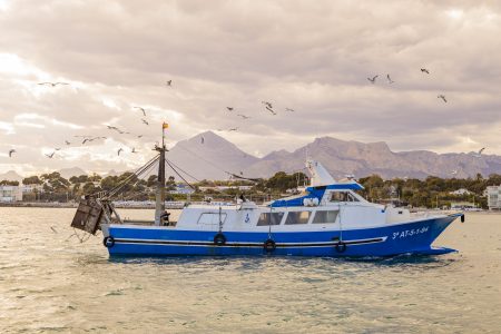 Comprar pescado online