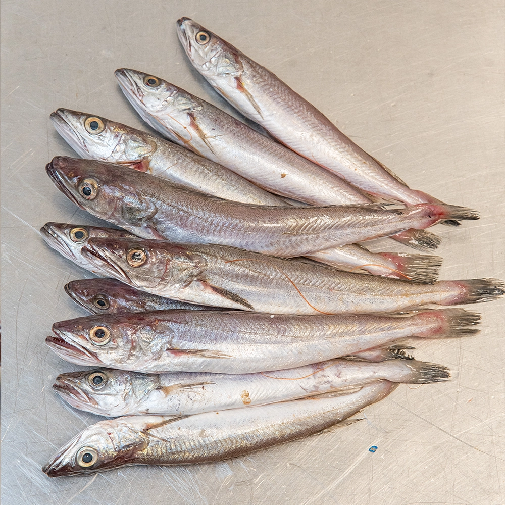 Pescadilla - Imagen 3