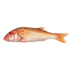 Salmonete fresco entero del Mediterráneo, comprar online pescadería aMar