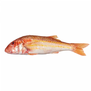 Salmonete fresco entero del Mediterráneo, comprar online pescadería aMar
