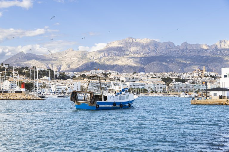 Comprar pescado online
