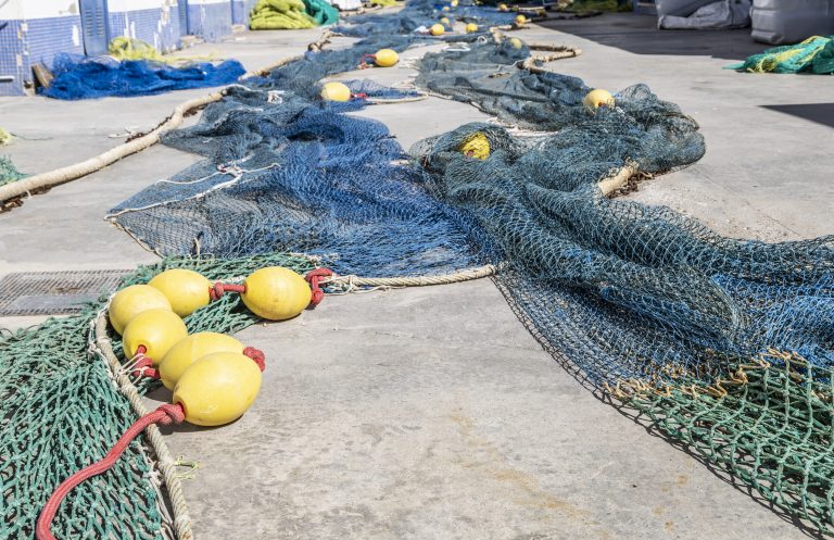 Comprar pescado online