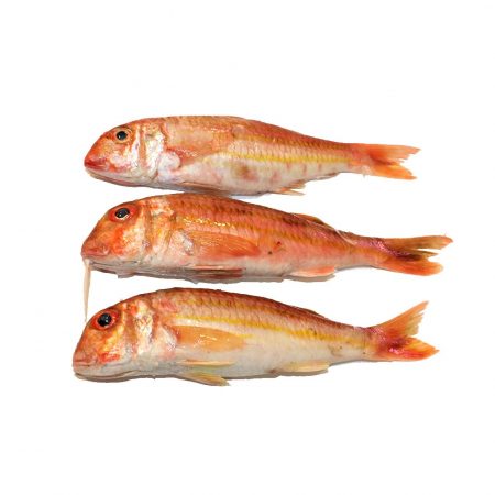 Salmonete