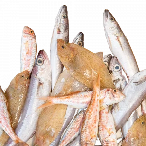 Fritura de la Bahía