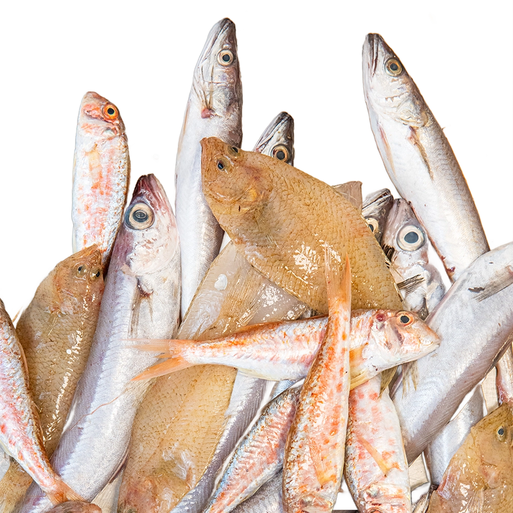 Fritura de la Bahía