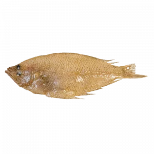 Peluda