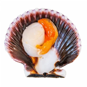 Volandeira